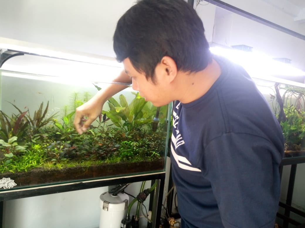 Saat Aquascape Jadi Terapi, Komunitas Aquascape Blitar Kembali Eksis Suguhkan Seni Segarkan Pikiran