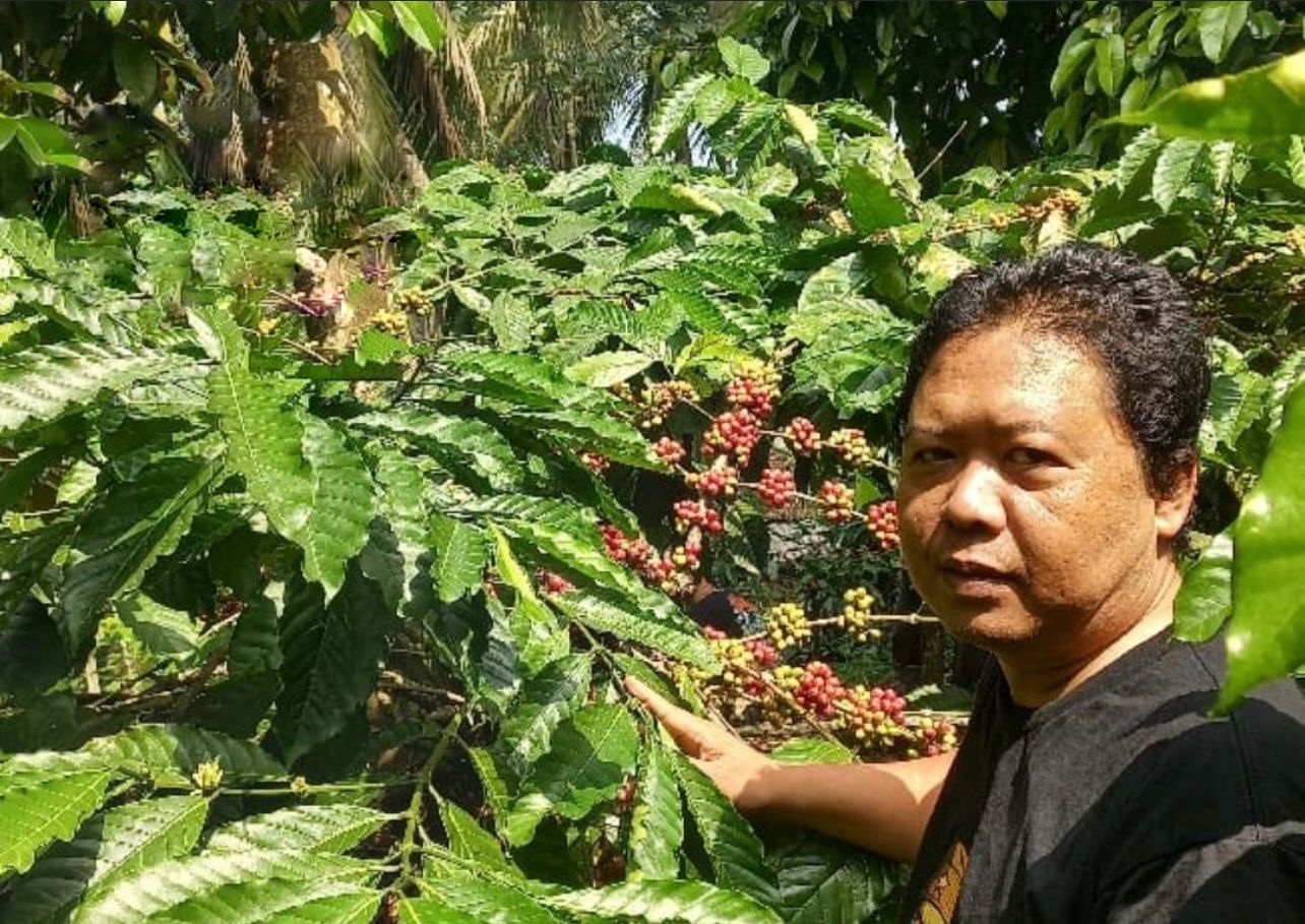 Ahrian Bawa Kopi Robusta Blitar Raih Juara 2 di Indonesia Green Coffee Competition 2026